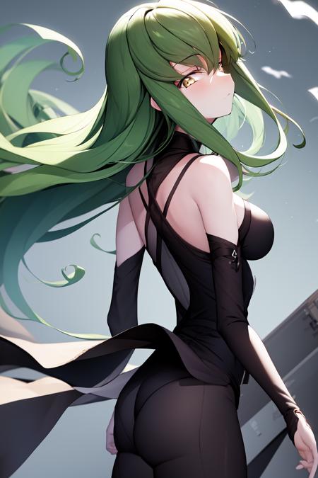 38351-2749897736-masterpiece, best quality, highres, 1girl, CC, green hairs, expressionless, wind blowing, standing, from behind, looking at view.png